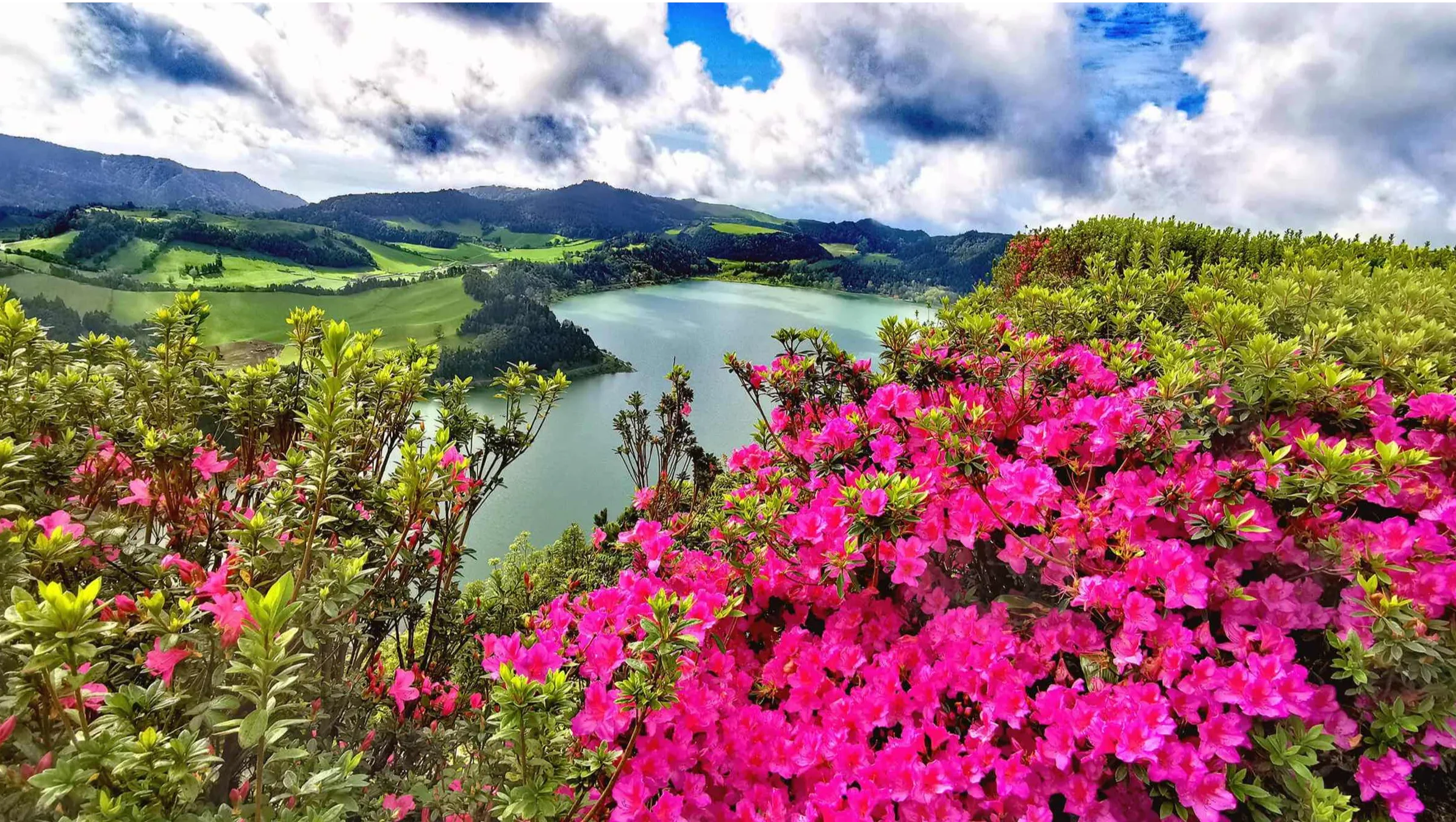 Azores bloemen | Rondreis Sao Miguel, Terceira & Faial